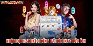 Nhận Định Soi Kèo Bóng Đá Hôm Nay