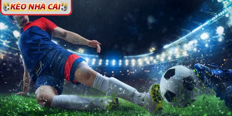 Hãy dựa vào sự nghiên cứu về đội bóng trước trận