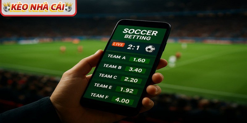Soi kèo châu Á cùng chuyên gia để nhận định tỷ lệ chính xác