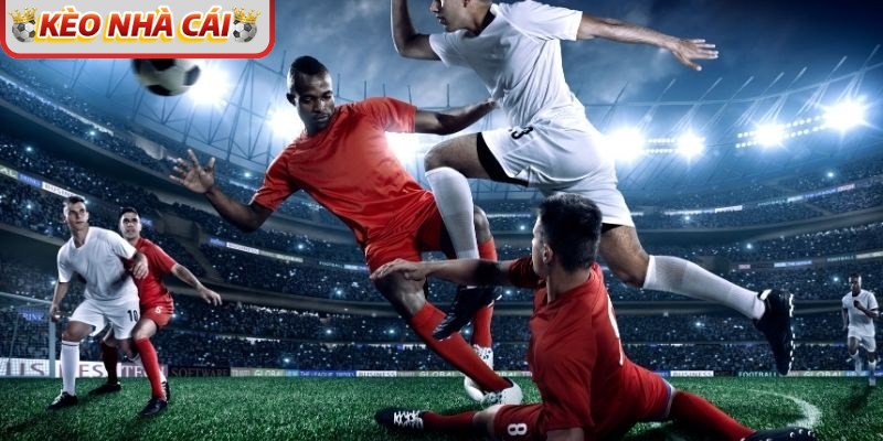 Gia nhập các hội nhóm đánh giá tỷ lệ kèo để đưa ra nhận định đúng