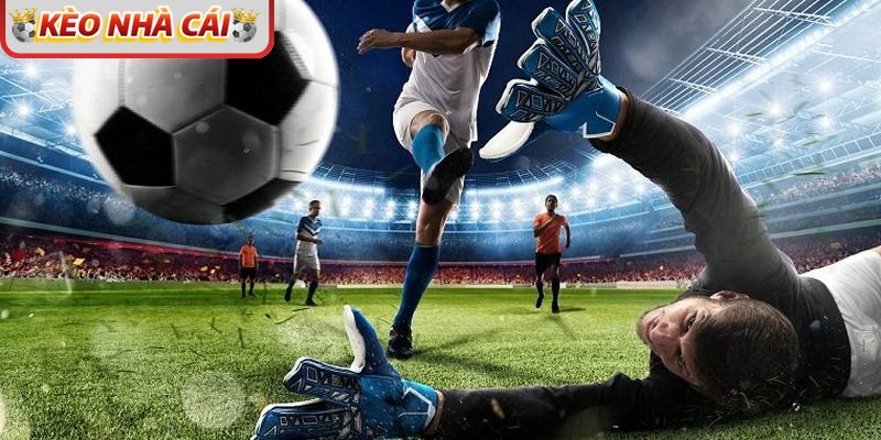 Soi kèo chuẩn xác theo từng giải đấu để thu về lợi nhuận cực lớn