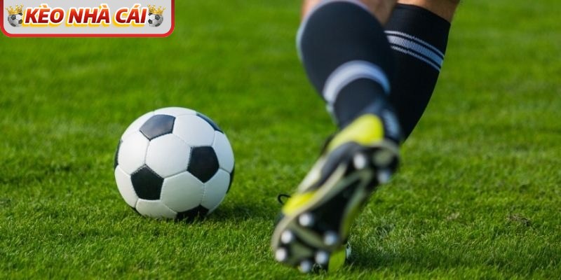 Soi kèo dễ thắng luôn dựa theo những theo dữ liệu mới nhất