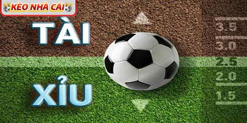 Xem xét kết quả của 5-10 trận đối đầu gần để soi Tài Xỉu chuẩn