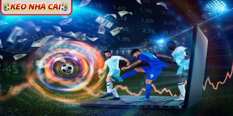 Các trang uy tín thường tổng hợp dữ liệu từ nhiều nguồn, phân tích kĩ lưỡng 